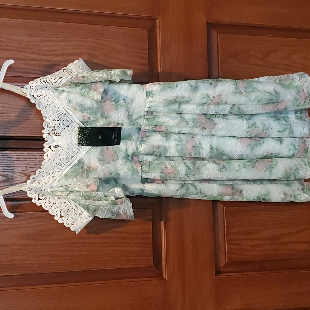 Disney Princess Tiana Ispired Dress